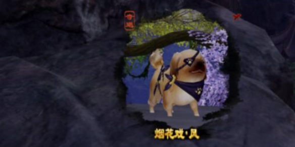 2024穿越火線換購活動(dòng)領(lǐng)取入口：助力玩家輕松獲取心儀獎(jiǎng)勵(lì)