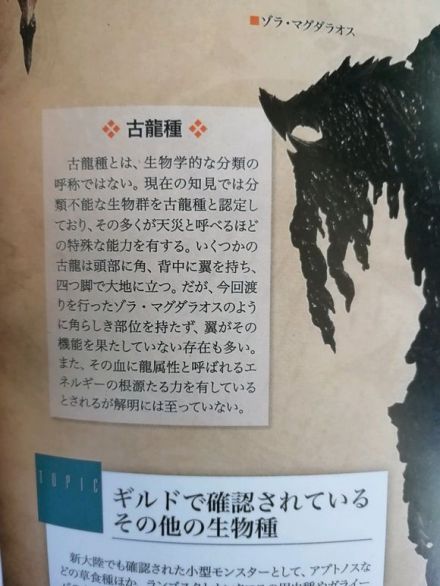 高效選礦技術(shù)解析：精準(zhǔn)開采流程與實用技巧